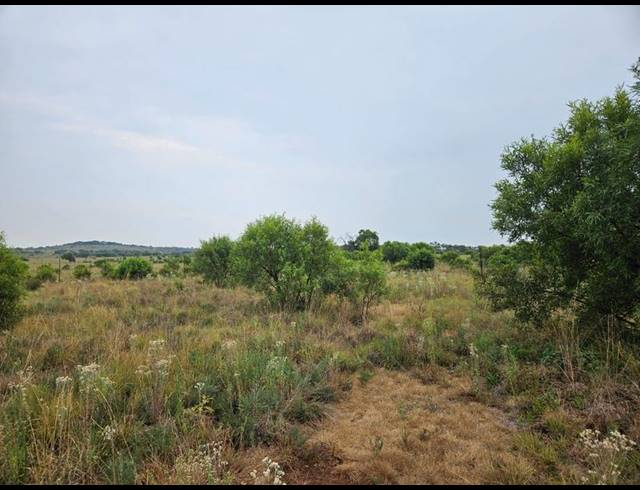 FARM FOR SALE IN LANSERIA